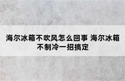 海尔冰箱不吹风怎么回事 海尔冰箱不制冷一招搞定